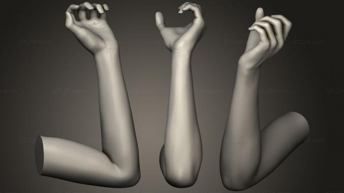 Анатомия скелеты и черепа (Поза женской руки 12, ANTM_0423) 3D модель для ЧПУ станка